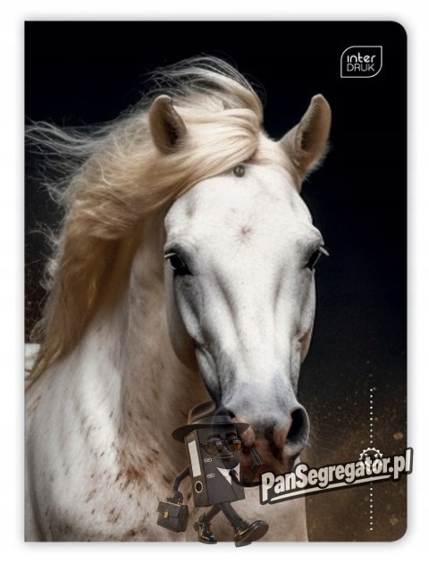 Zeszyt A5 16k linia 70g UV Wild Horses INTERDRUK