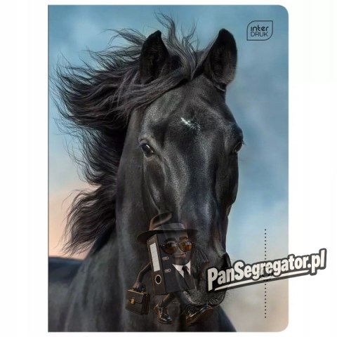 Zeszyt A5 16k linia 70g UV Wild Horses INTERDRUK