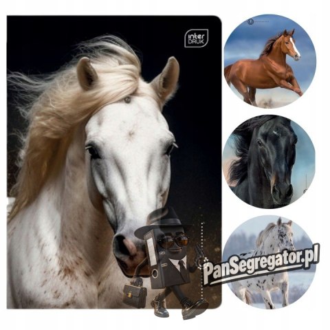 Zeszyt A5 16k linia 70g UV Wild Horses INTERDRUK