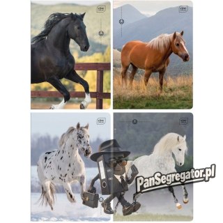 Zeszyt A5 32k 3-linia kol. 70g UV Wild Horses INTERDRUK
