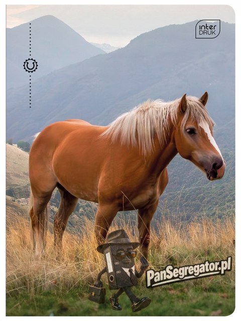 Zeszyt A5 32k 3-linia kol. 70g UV Wild Horses INTERDRUK