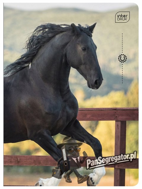 Zeszyt A5 32k 3-linia kol. 70g UV Wild Horses INTERDRUK