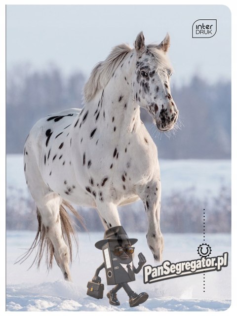 Zeszyt A5 32k 3-linia kol. 70g UV Wild Horses INTERDRUK
